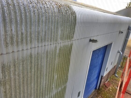 Cleaning algae from Cladding in Bristol