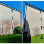 Red Algae Removal Combe Dingle